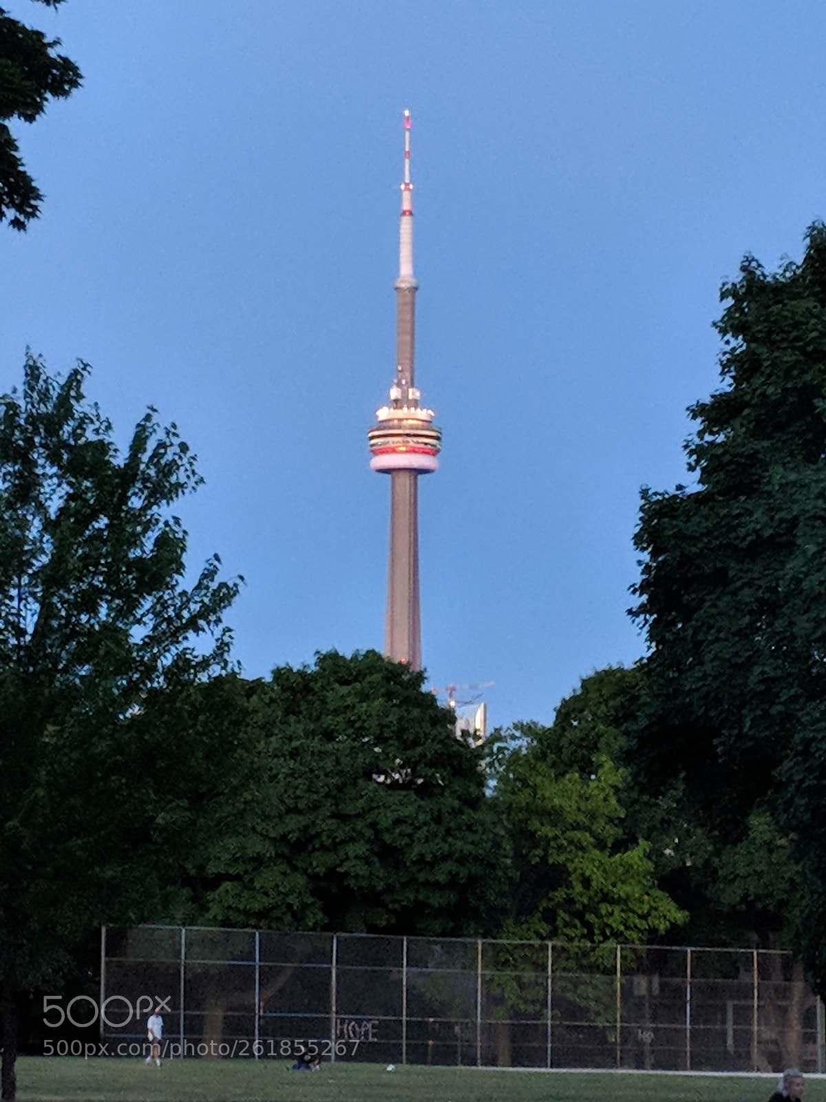 Google Pixel 2 sample photo. Untitled photography