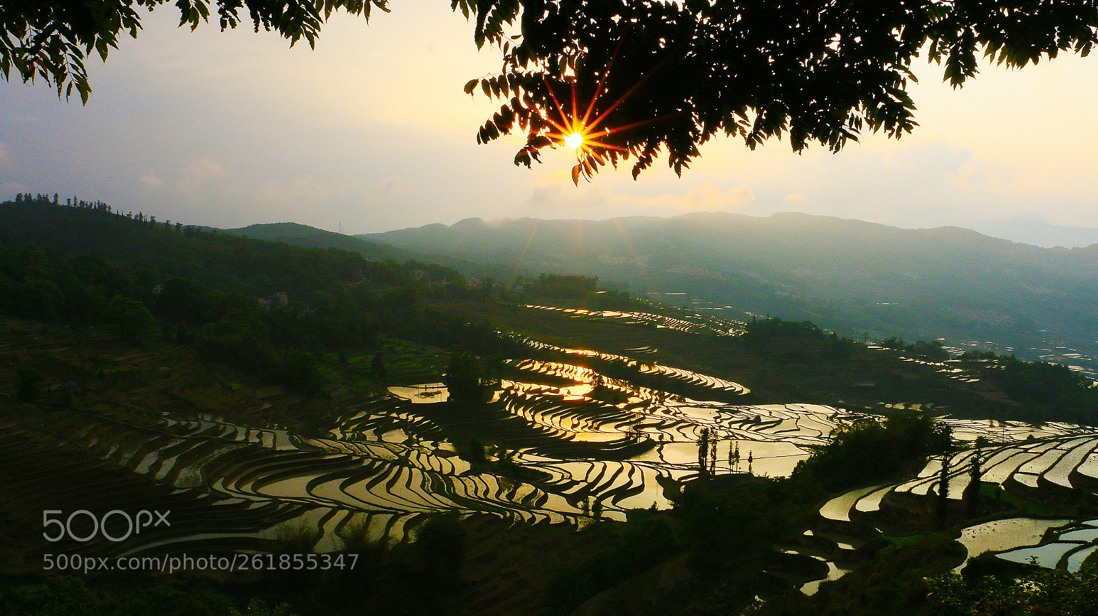 Canon EOS 70D sample photo. Untitled photography