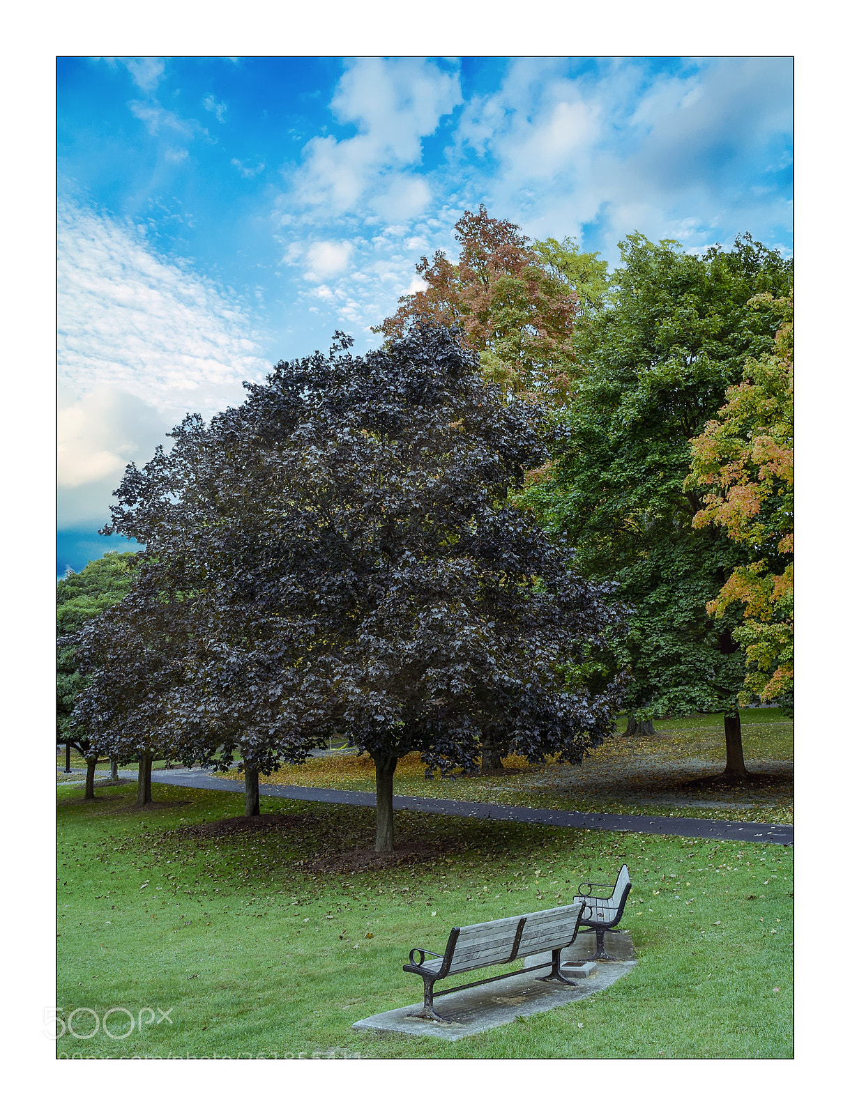 Nikon D810 sample photo. Early fall photography