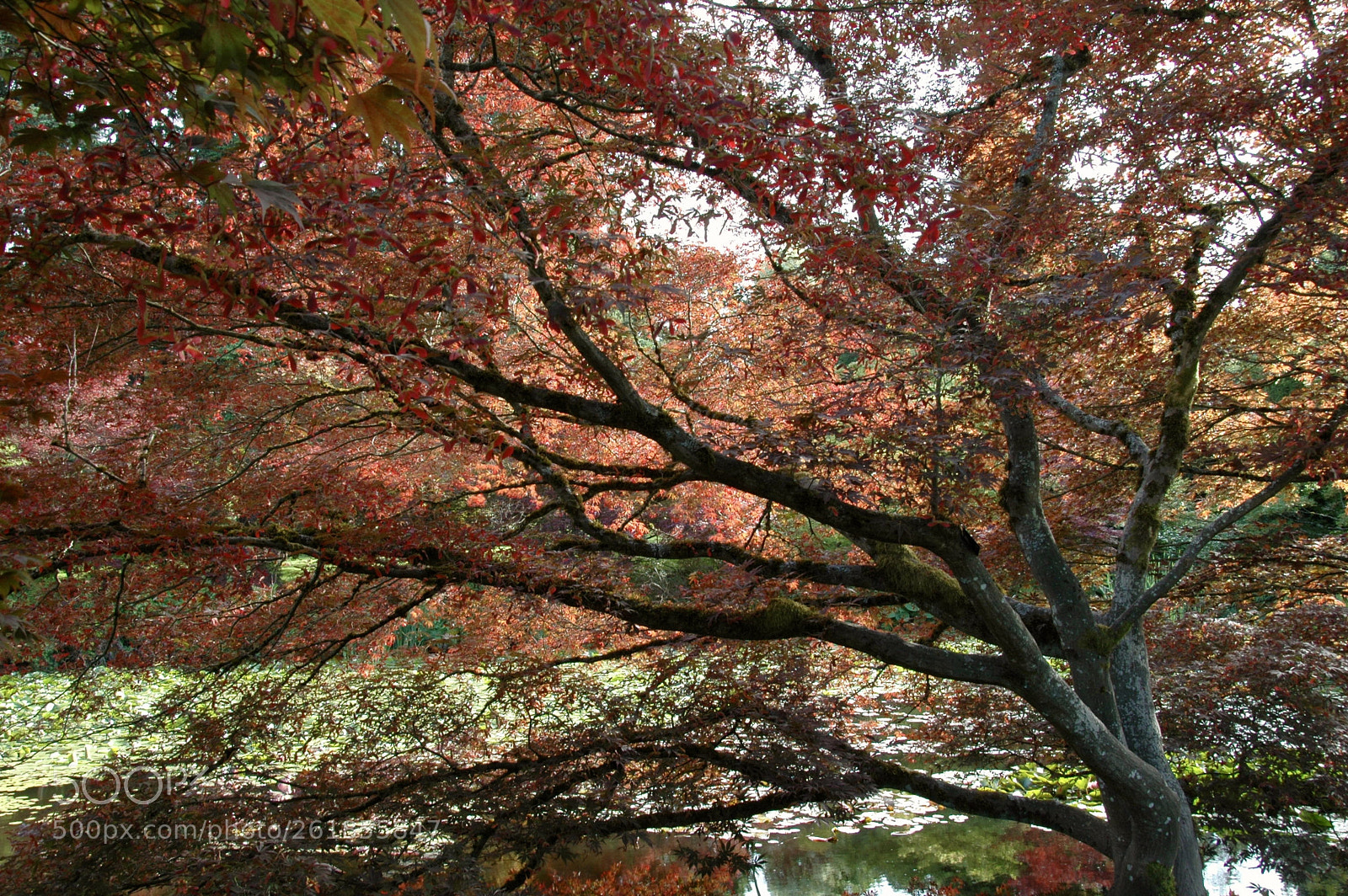 Nikon D70 sample photo. Fullsizeoutput b photography