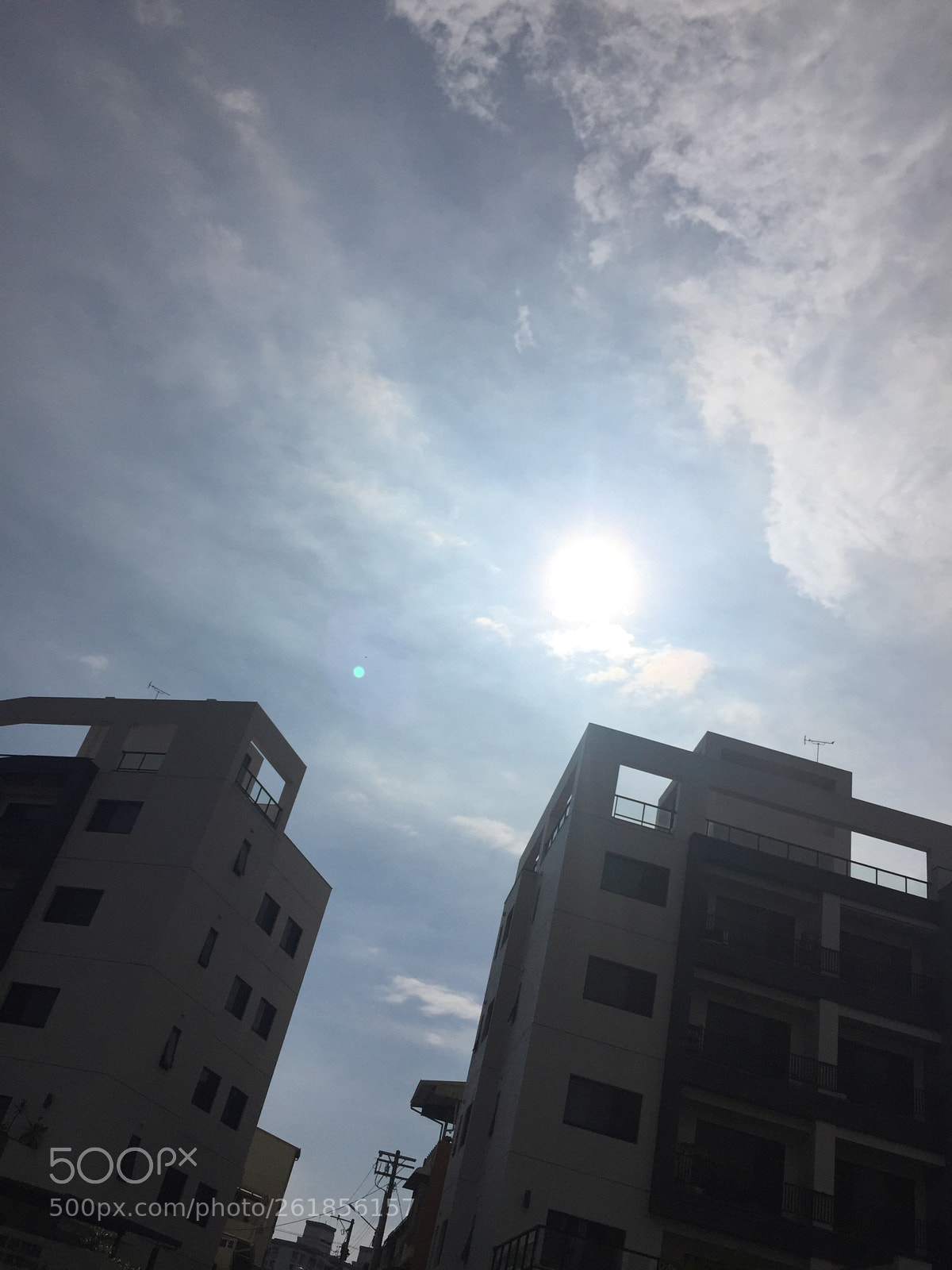 Apple iPhone 6 sample photo. Sunny fall... photography