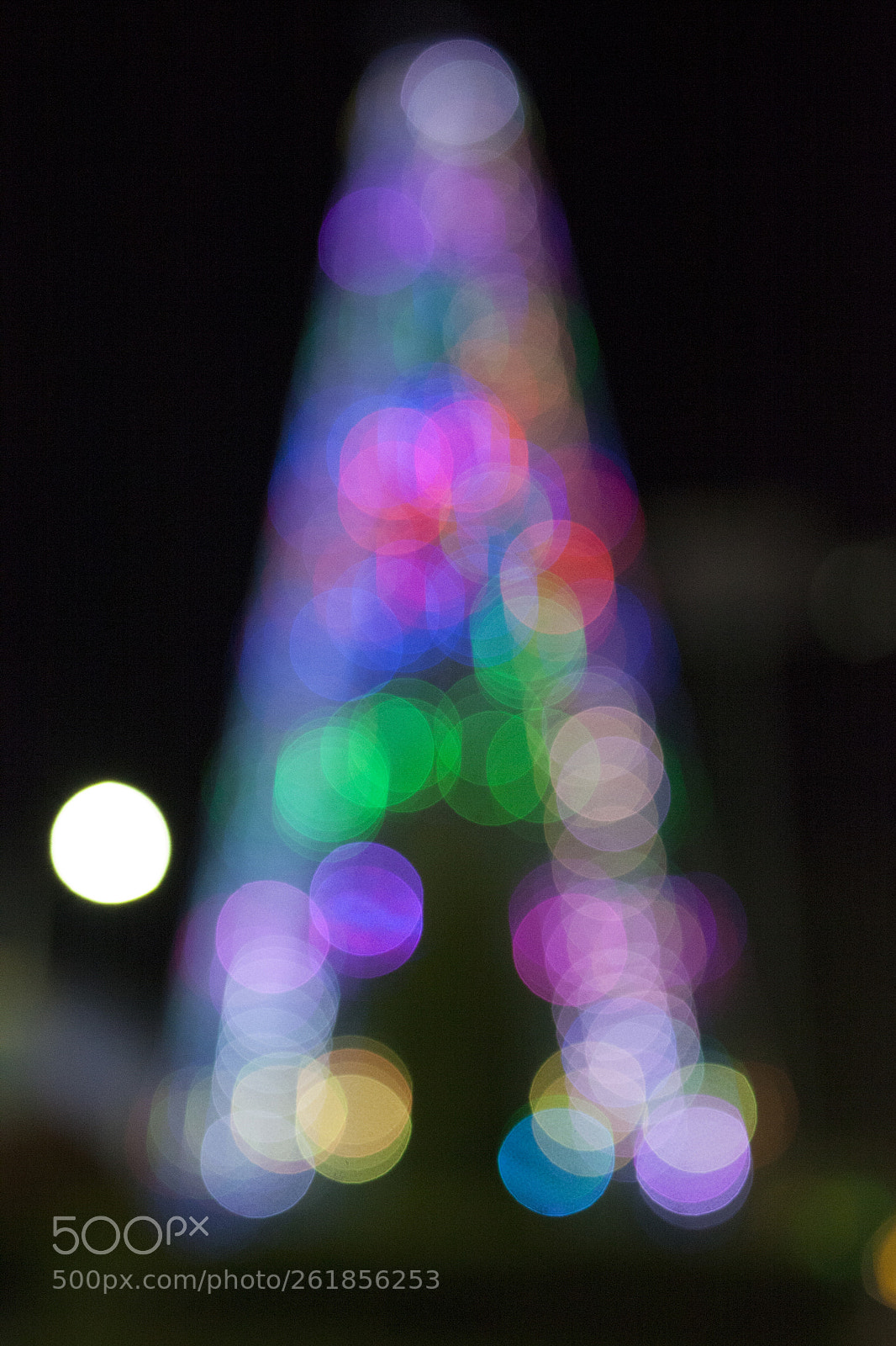 Canon EOS 5D Mark II sample photo. Untitled photography