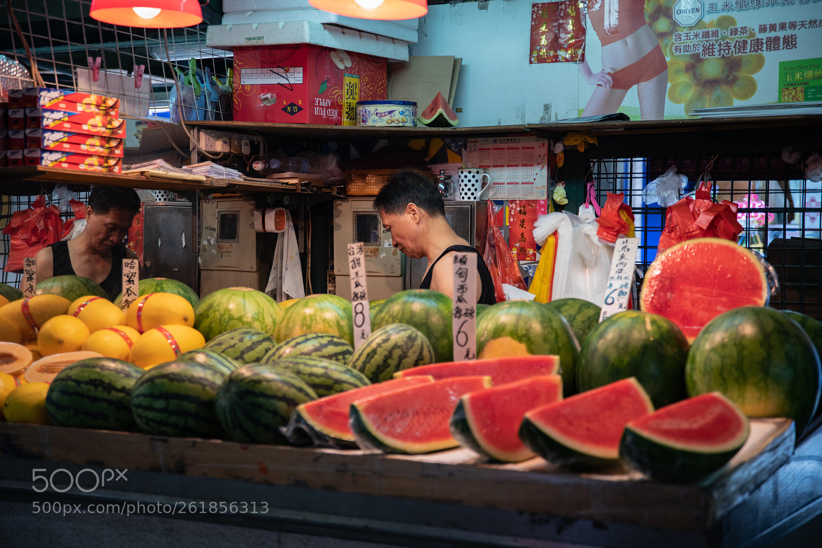 Nikon D850 sample photo. Untitled photography