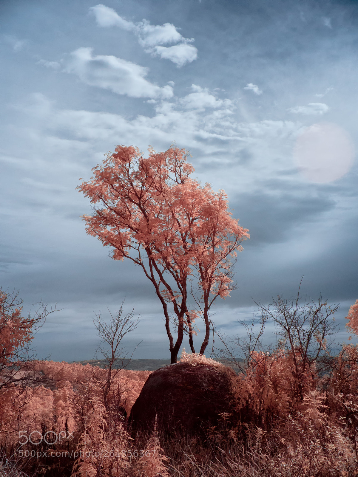 Panasonic Lumix DMC-GF3 sample photo. Infrared joaquim egidio pico photography