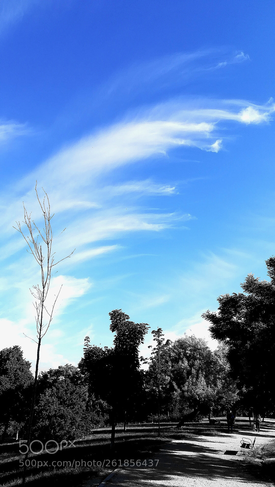 HUAWEI PRA-LX1 sample photo. La nube ola photography
