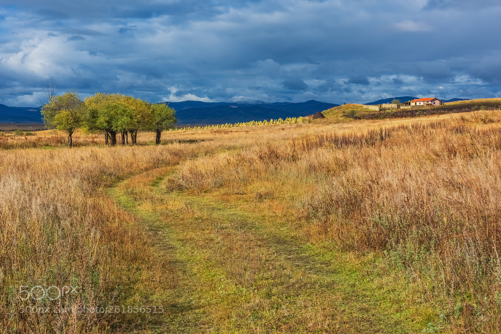 Nikon D810 sample photo. Autumn fairy tale photography