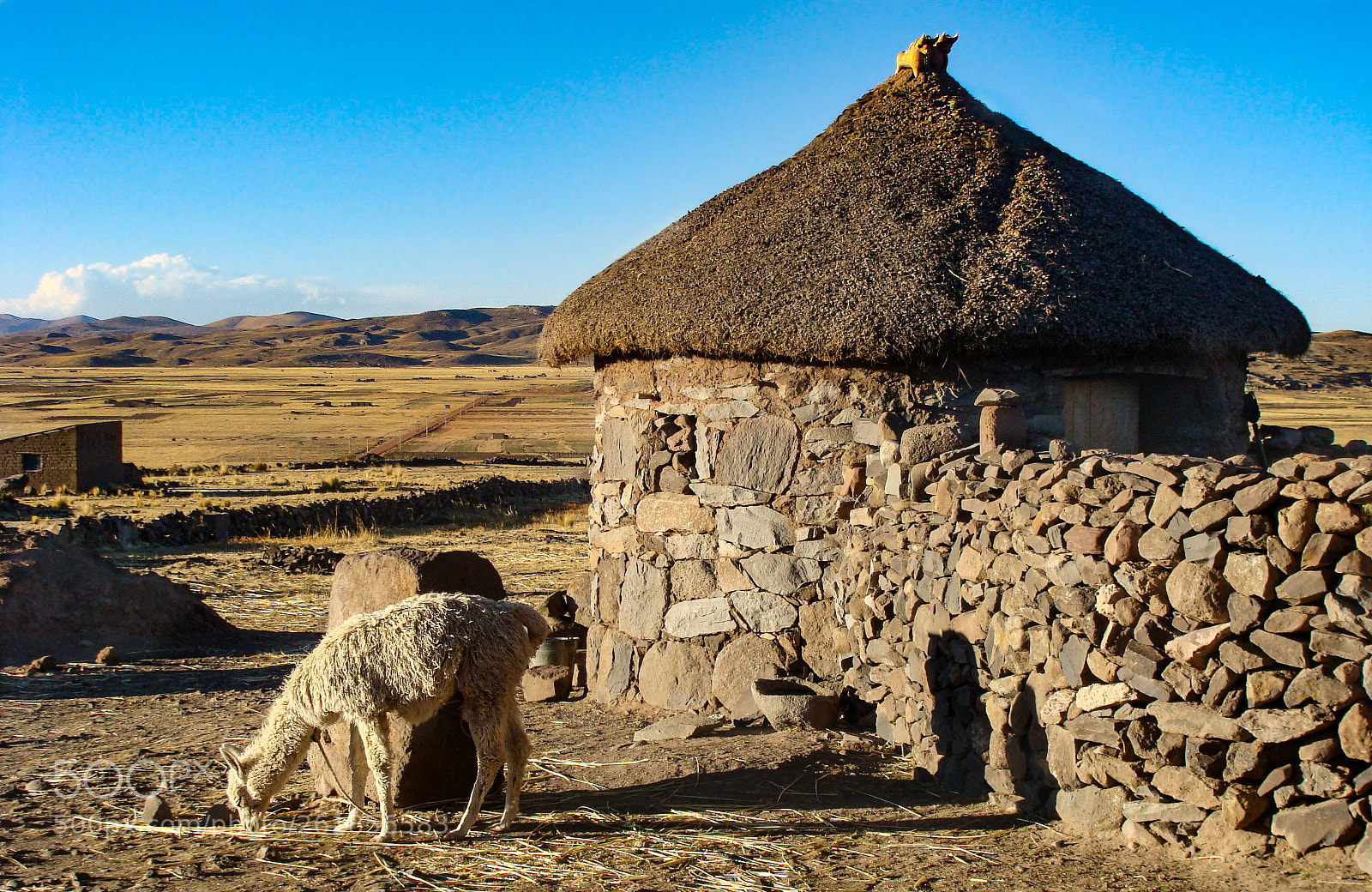 Sony DSC-H3 sample photo. Puno, peru photography