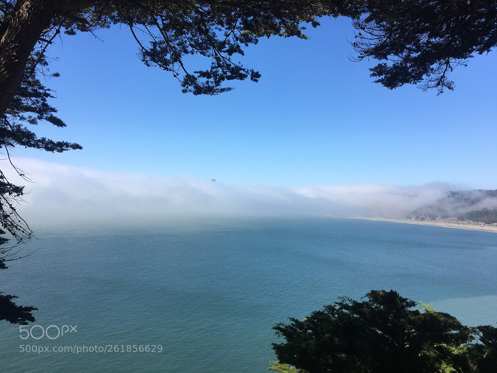 Apple iPhone 6s sample photo. Foggy golden gate photography