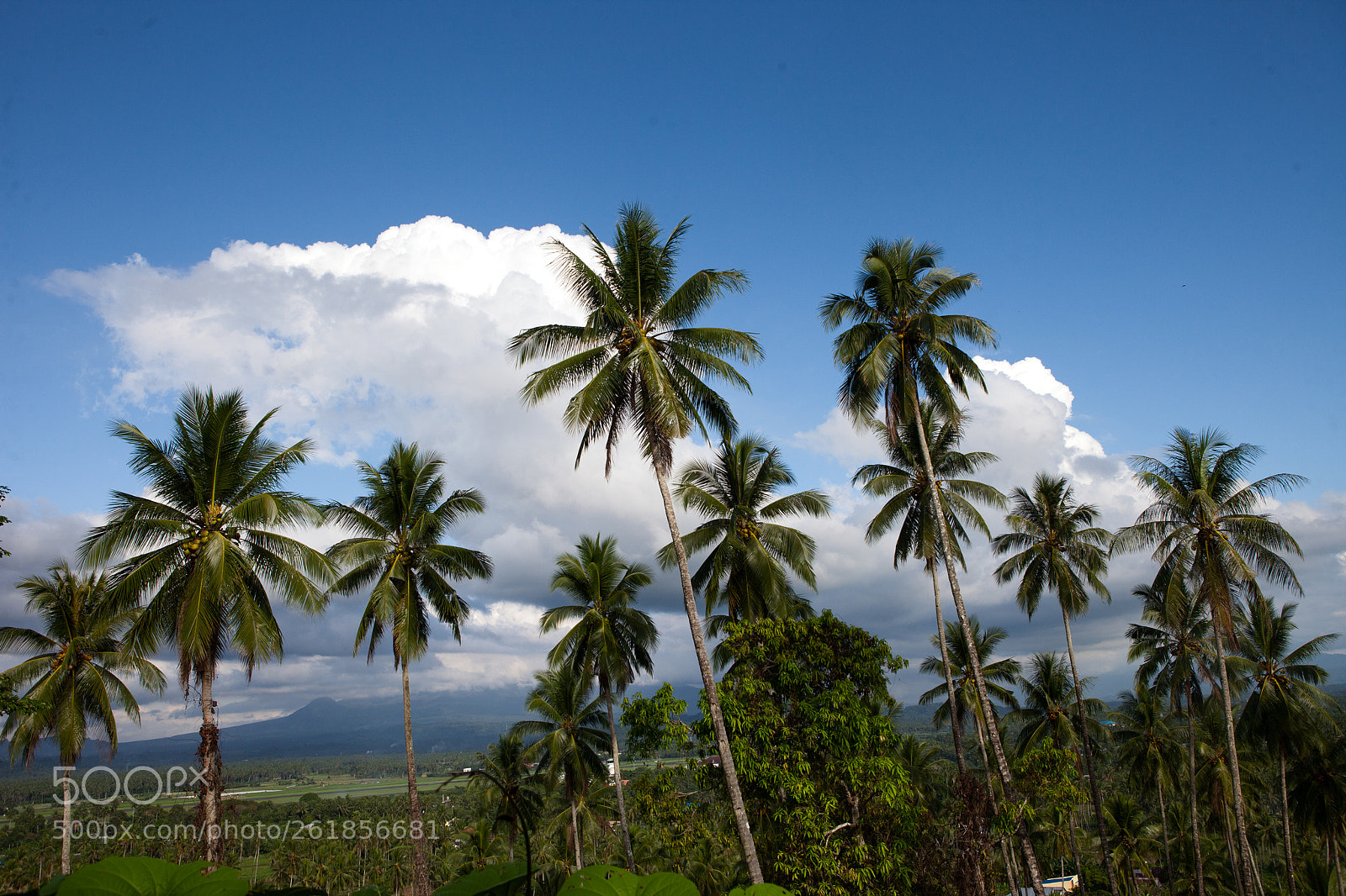 Canon EOS 5D Mark II sample photo. Untitled photography