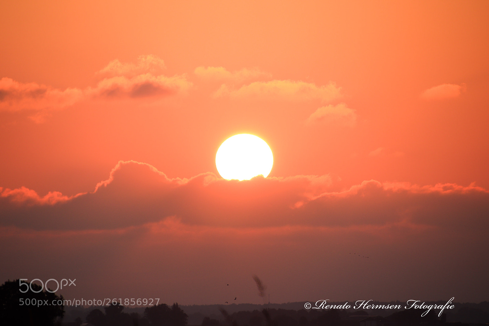 Canon EOS 77D (EOS 9000D / EOS 770D) sample photo. Sunset  photography