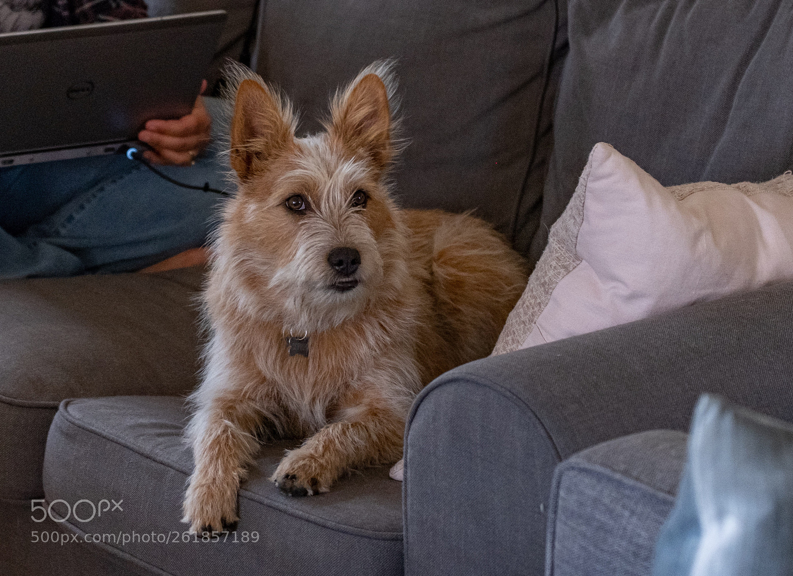 Fujifilm X-H1 sample photo. Sophie photography