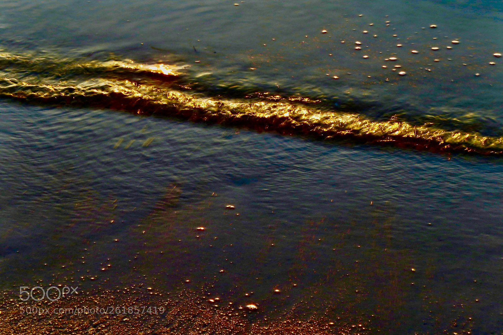 Canon PowerShot SX50 HS sample photo. Golden light photography