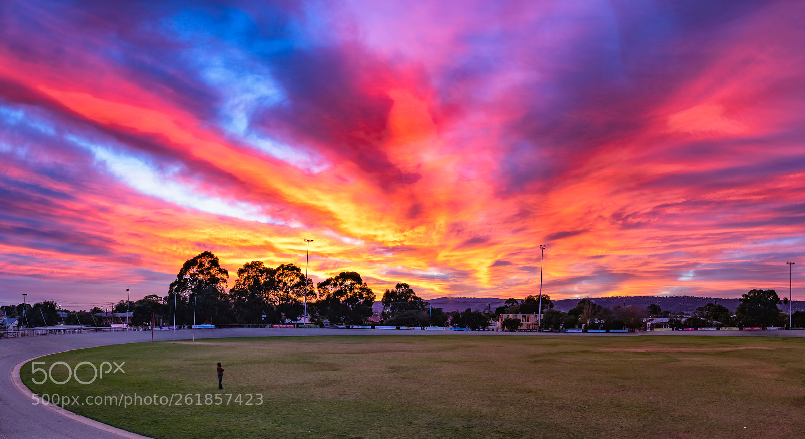 Canon EOS 6D Mark II sample photo. Sunrise at edwardstown oval photography