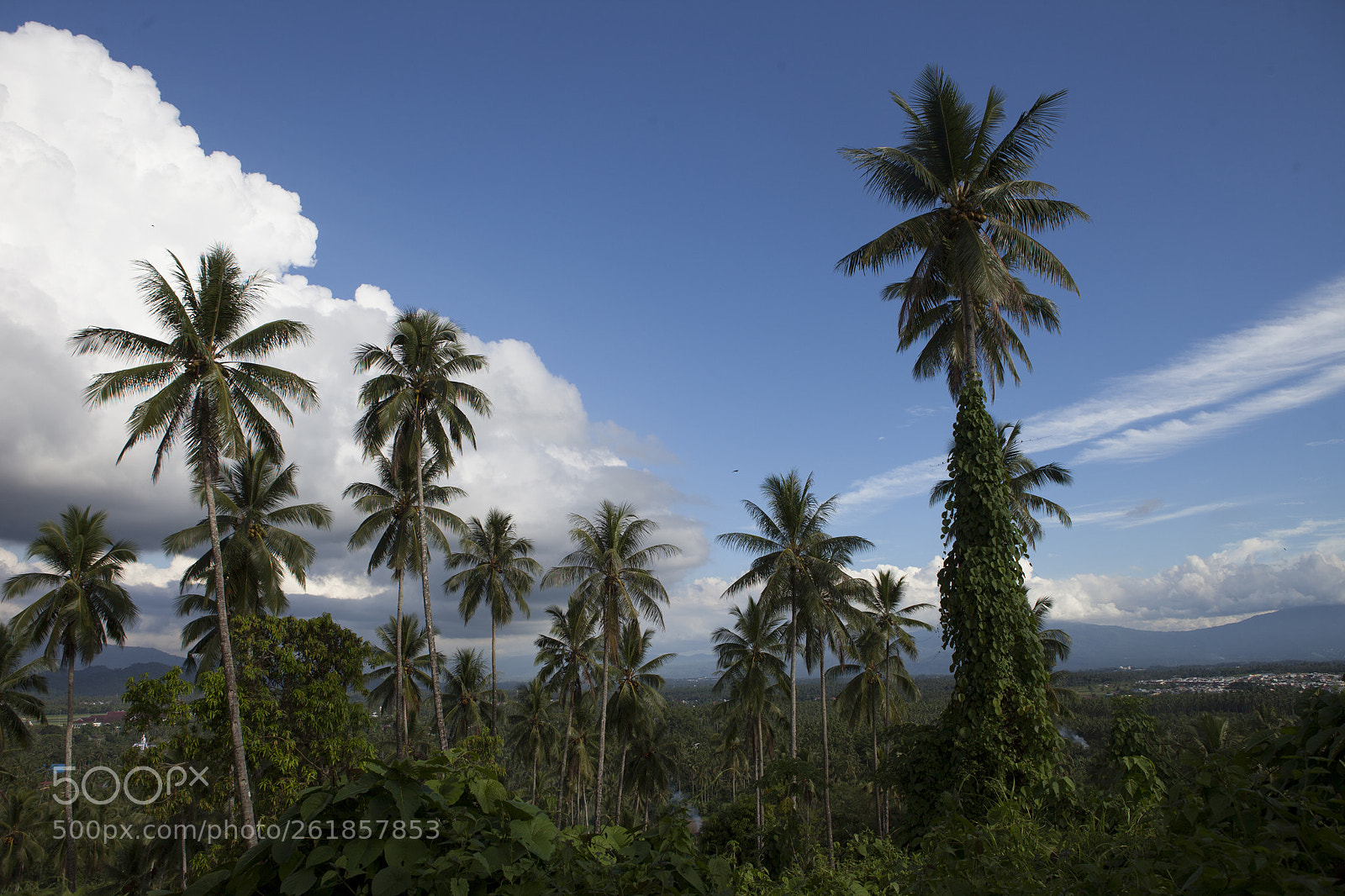 Canon EOS 5D Mark II sample photo. Untitled photography