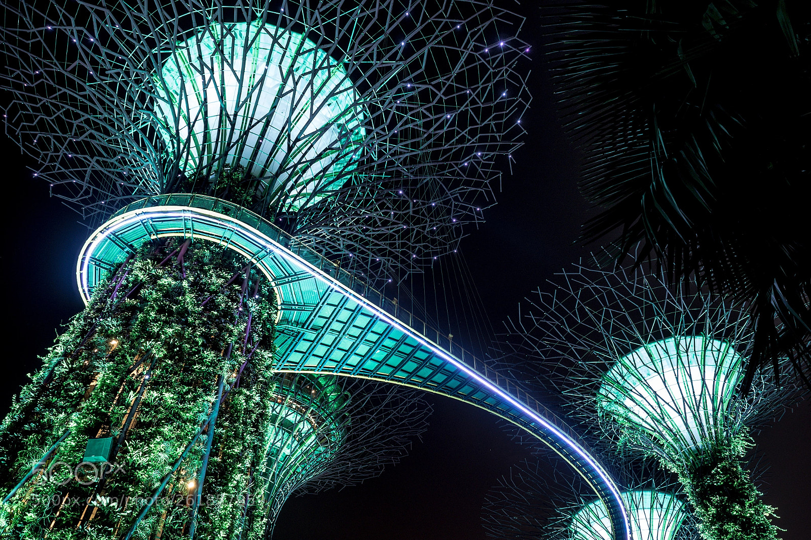 Olympus OM-D E-M5 II sample photo. Gardens by the bay photography