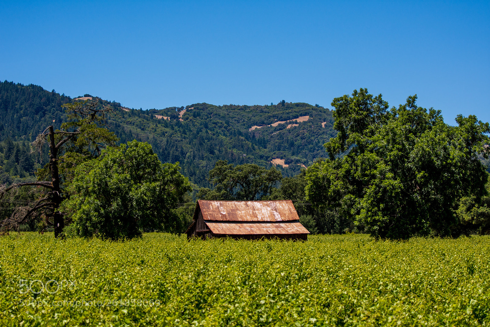 Nikon D7200 sample photo. Mendocino country photography