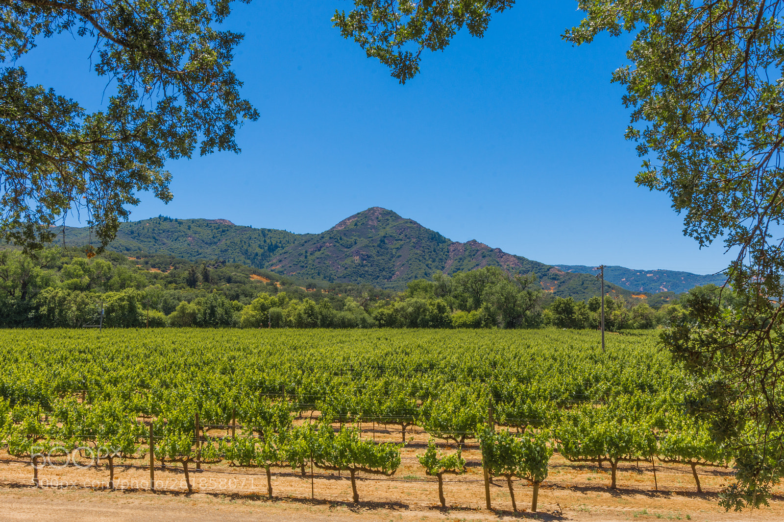 Nikon D7200 sample photo. Mendocino country photography