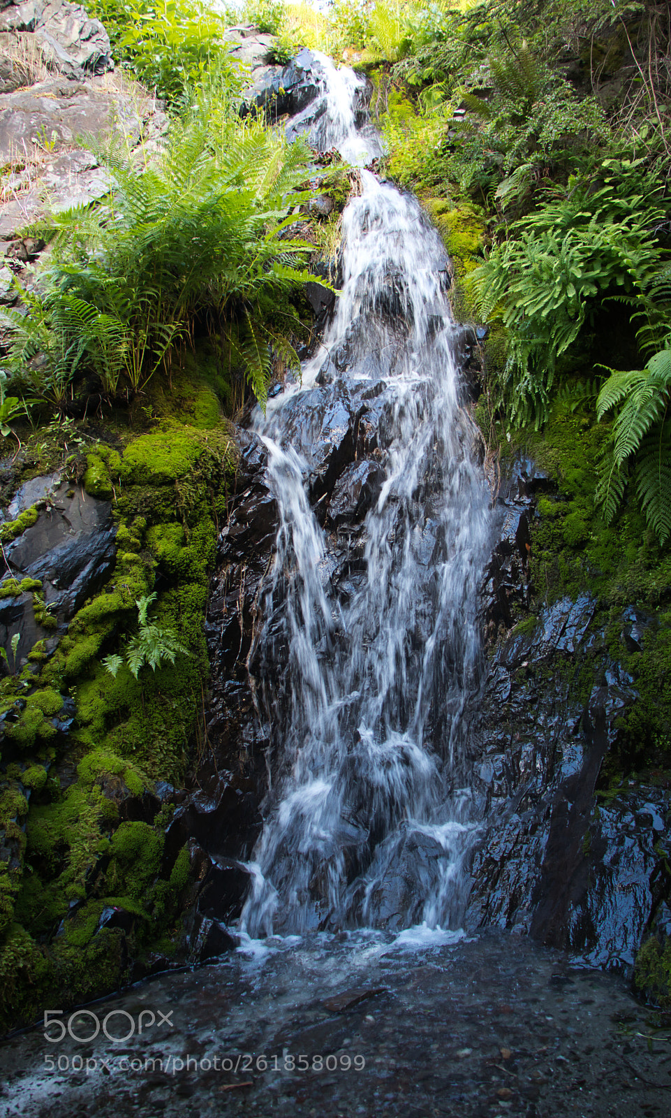 Canon EOS 80D sample photo. Tiny waterfall photography