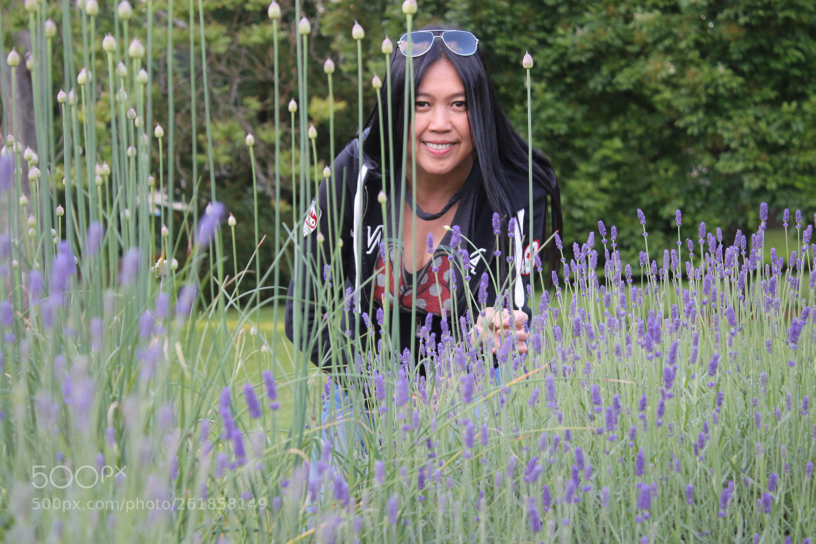 Canon EOS 70D sample photo. Lavender photography