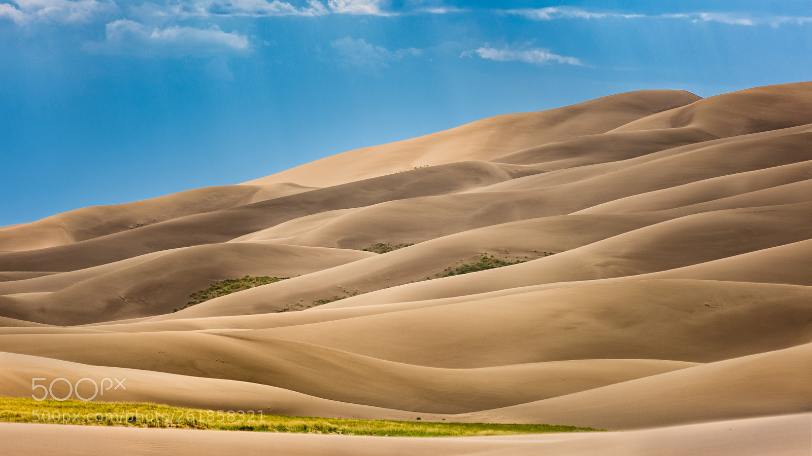 Nikon D750 sample photo. Highlighted dunes photography