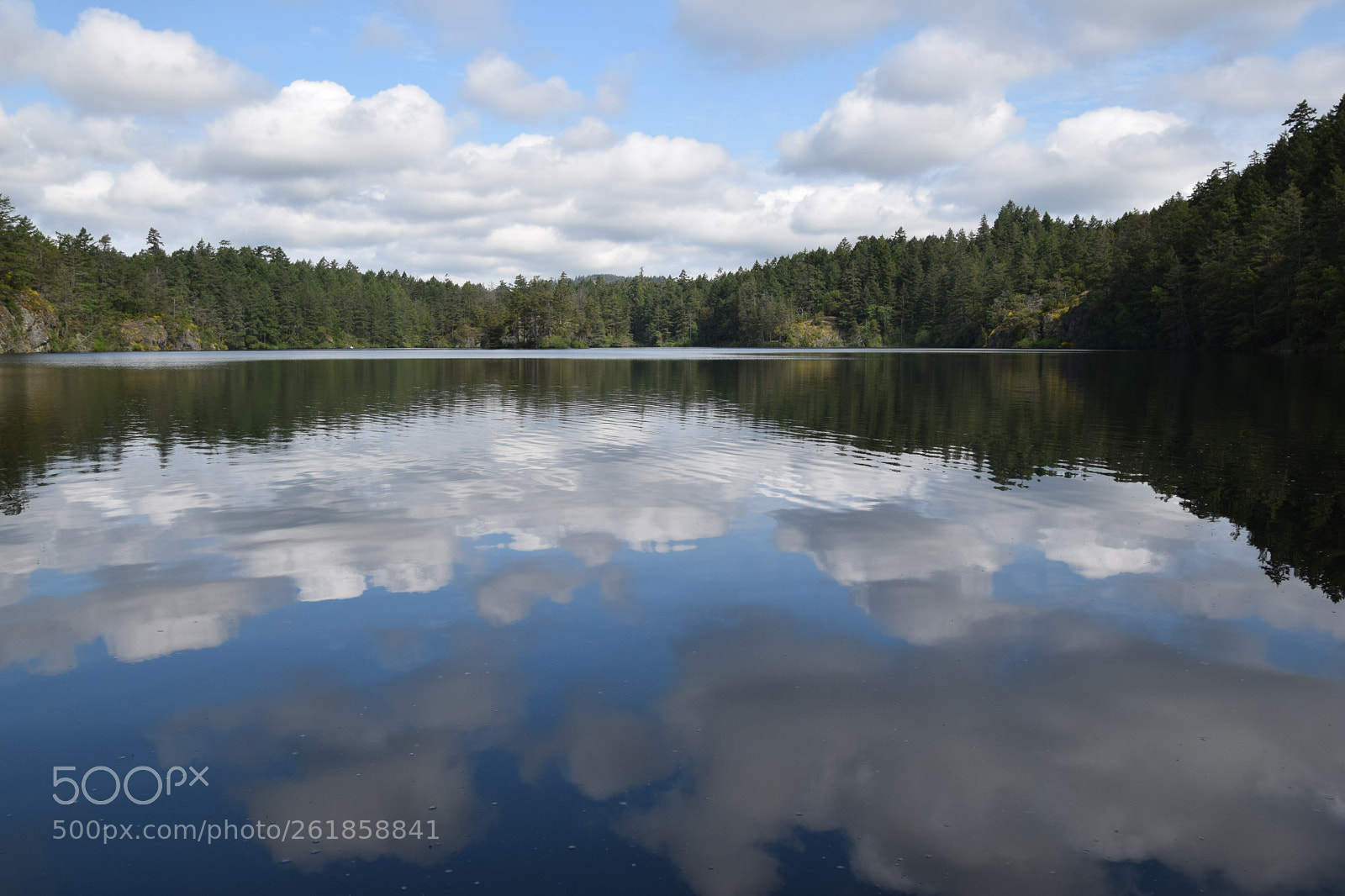 Nikon D5300 sample photo. Reflection photography
