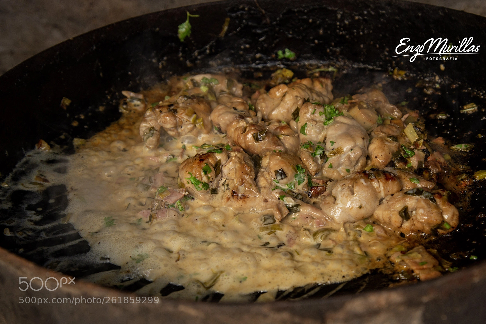 Canon EOS 6D sample photo. Mollejas photography