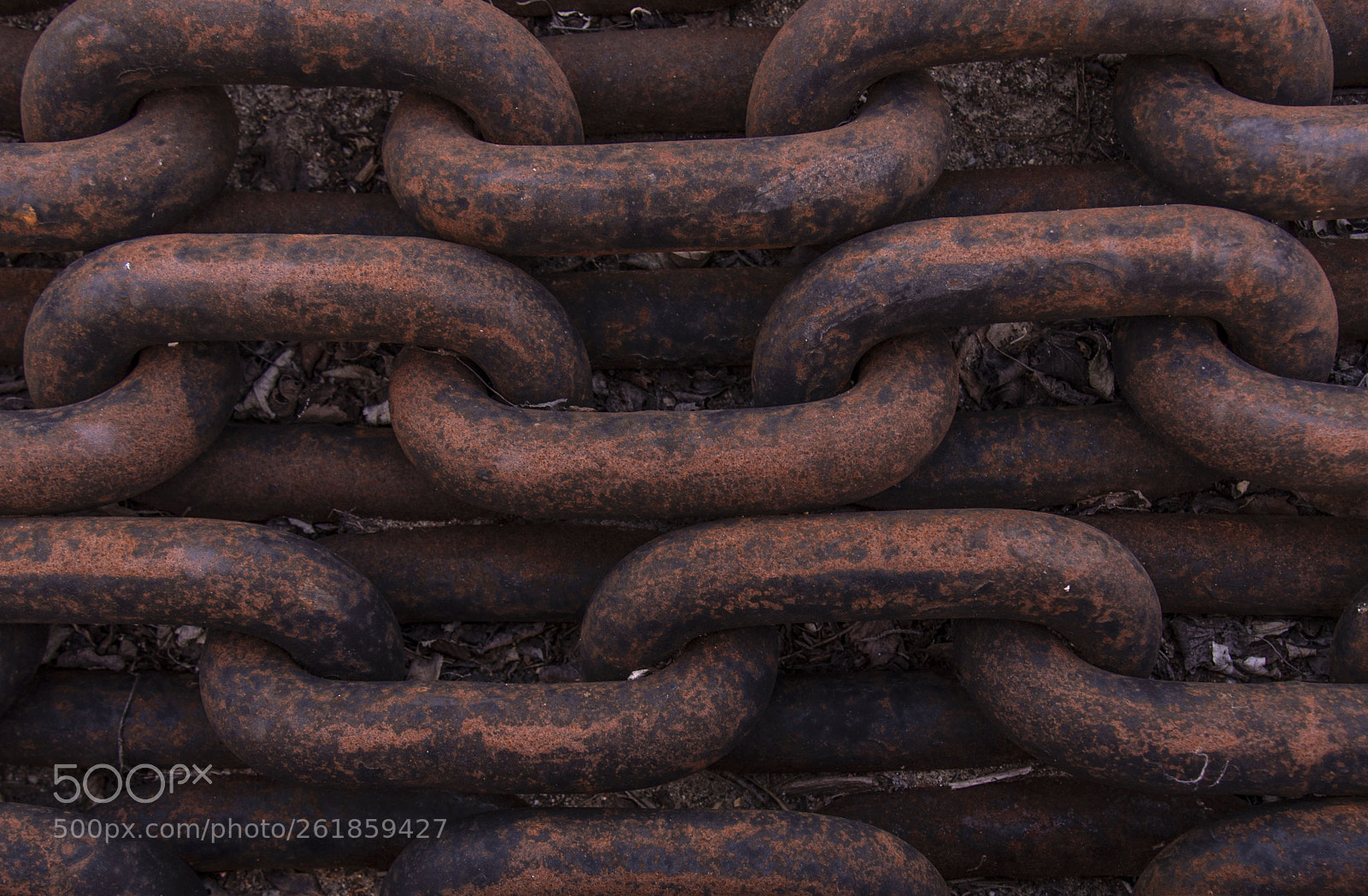 Nikon D750 sample photo. Chains photography