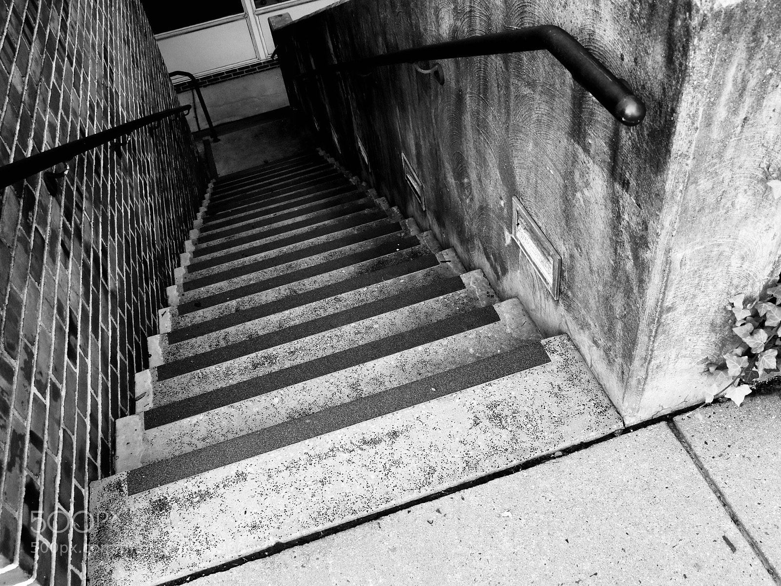 Canon EOS 80D sample photo. Untitled photography