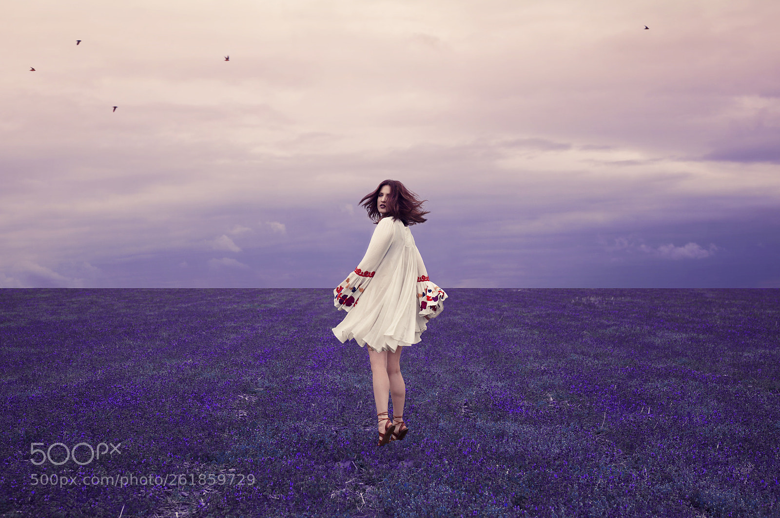 Canon EOS 5D Mark II sample photo. Lavender  photography