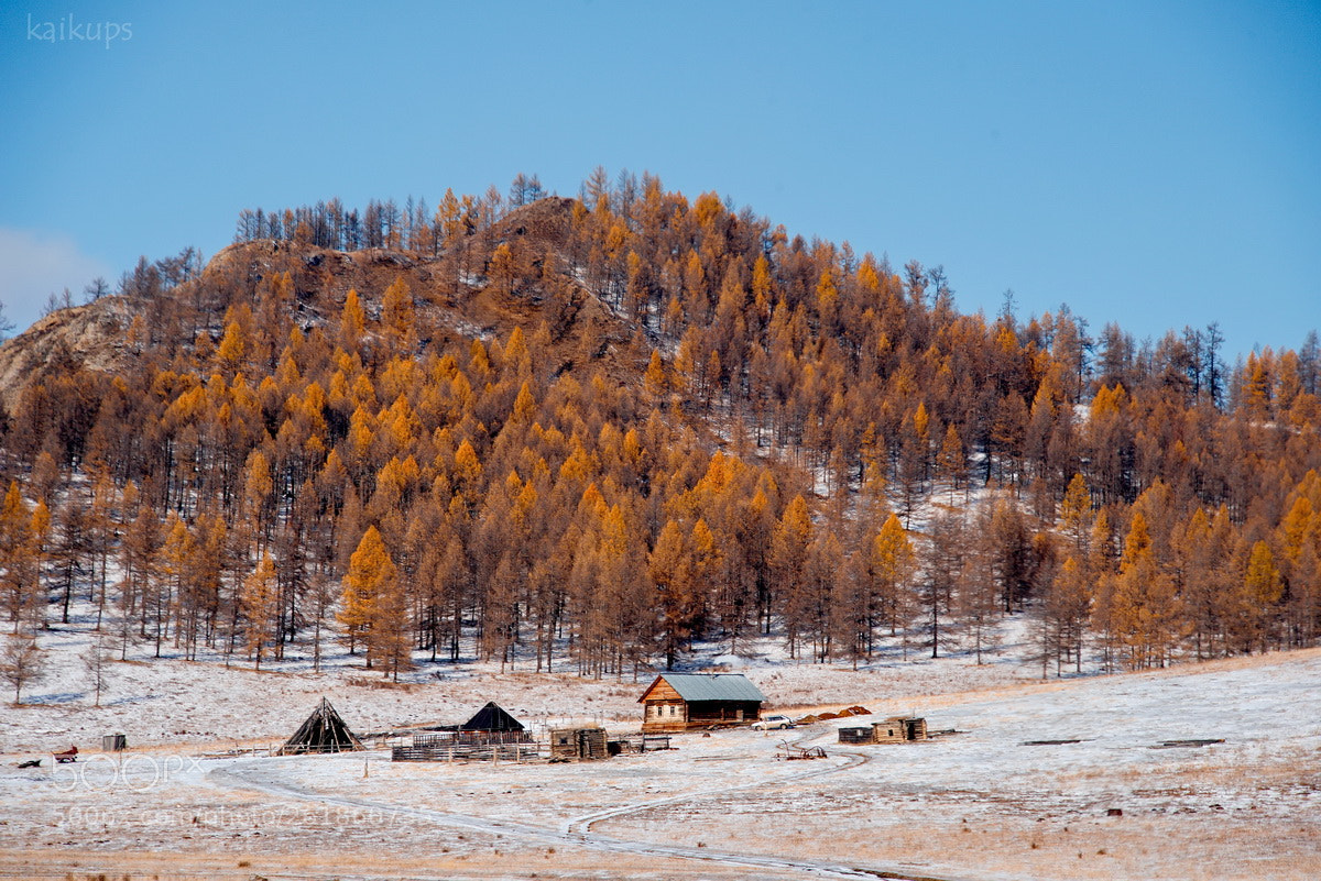 Nikon D750 sample photo. Russia. the beauty of photography