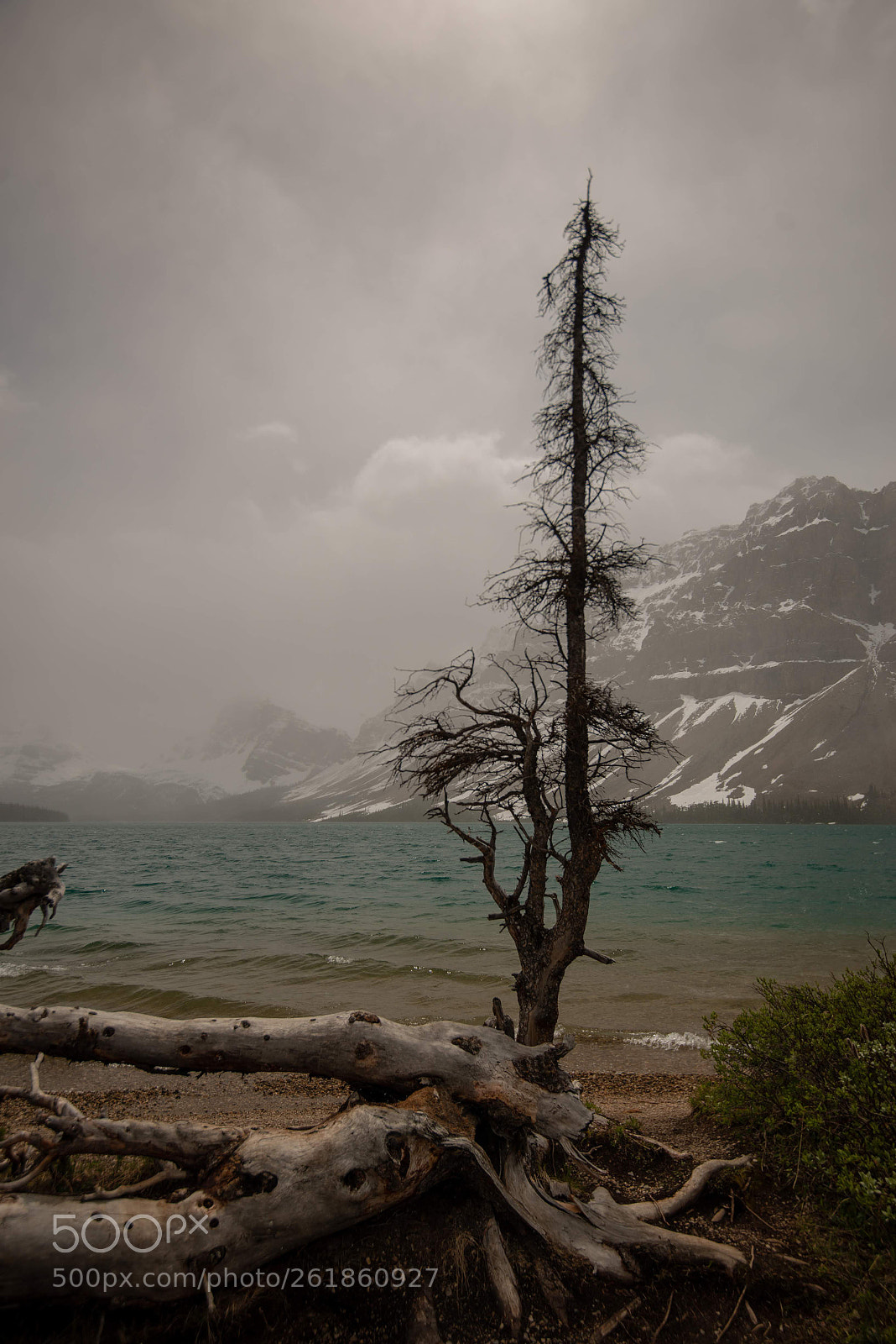 Nikon D800 sample photo. Bow lake photography