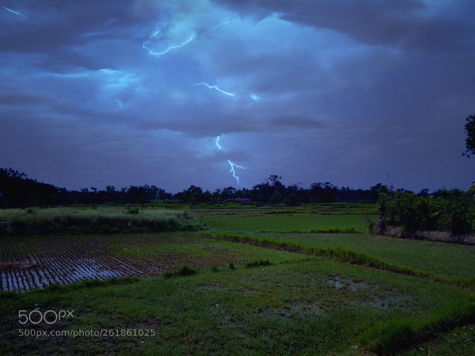 Xiaomi Redmi 5A sample photo. Untitled photography