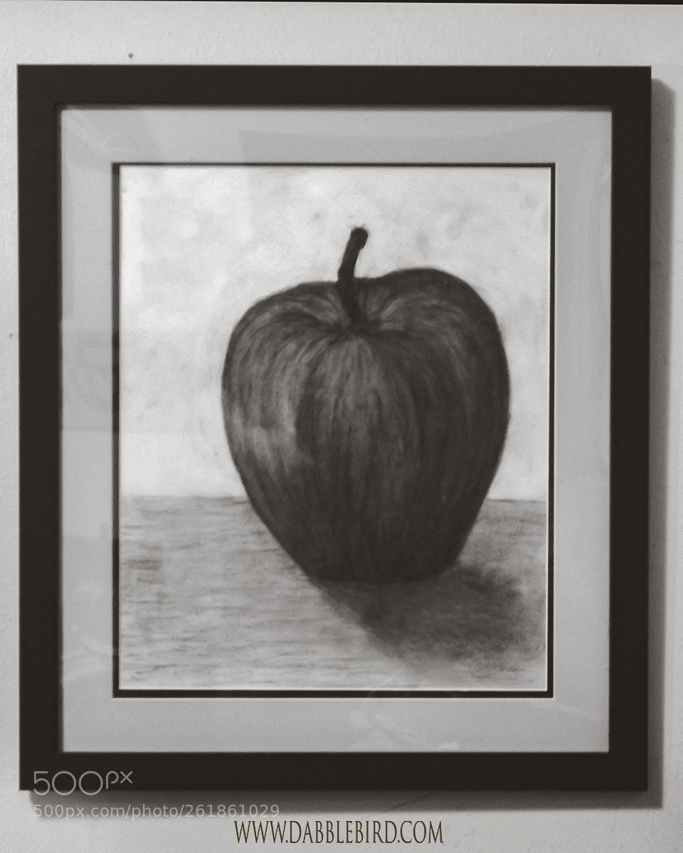 Fujifilm FinePix S1 sample photo. Dark apple framed photography