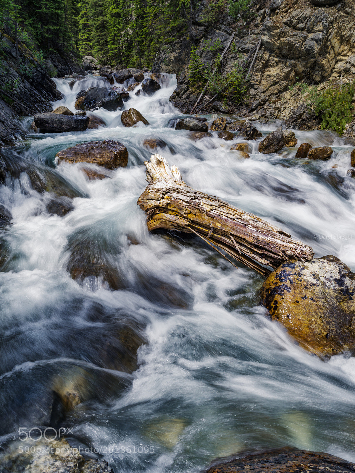 Pentax 645Z sample photo. D spiegel d spiegel photography