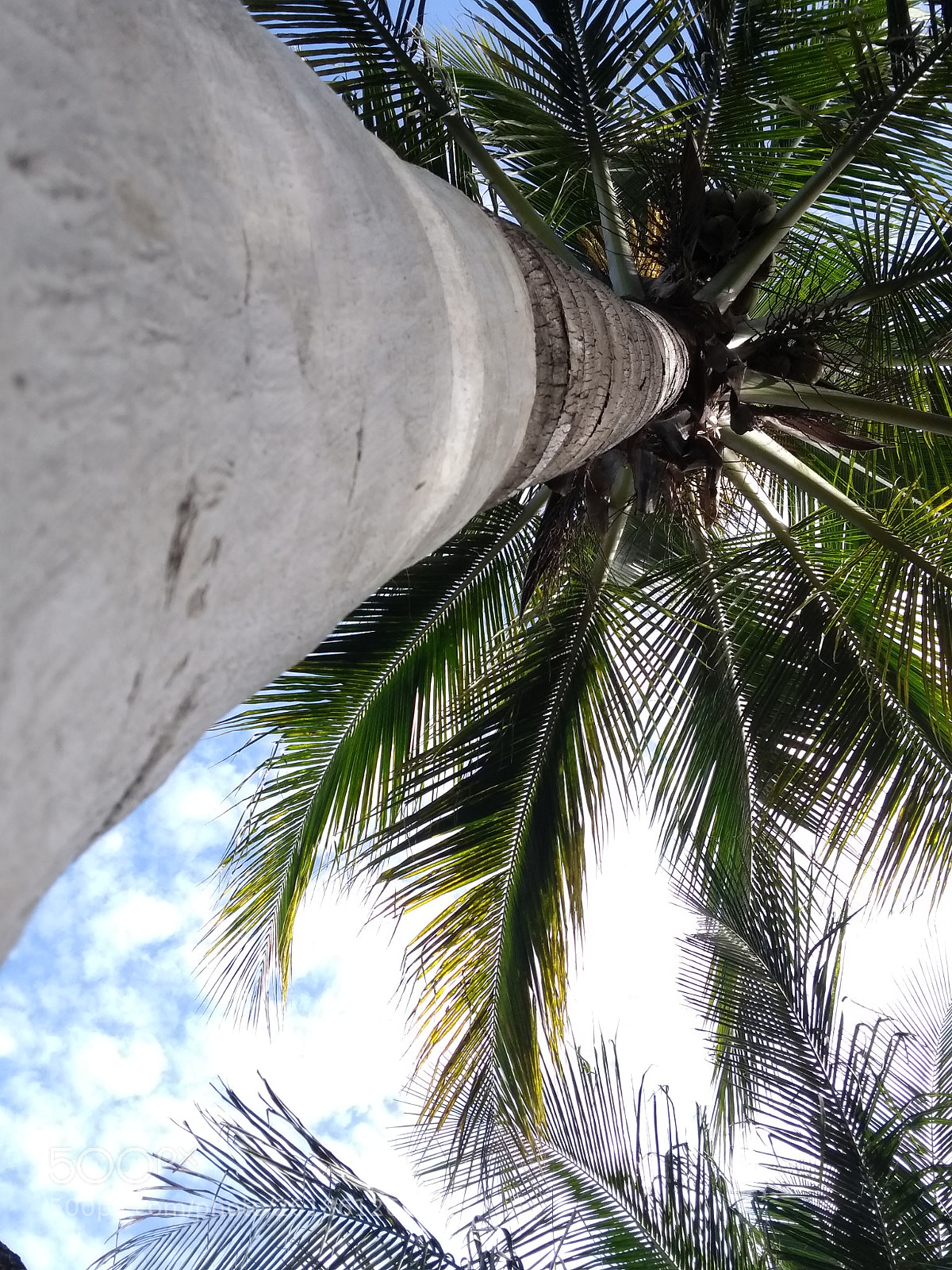 Motorola Moto G (5th Gen) sample photo. Untitled photography