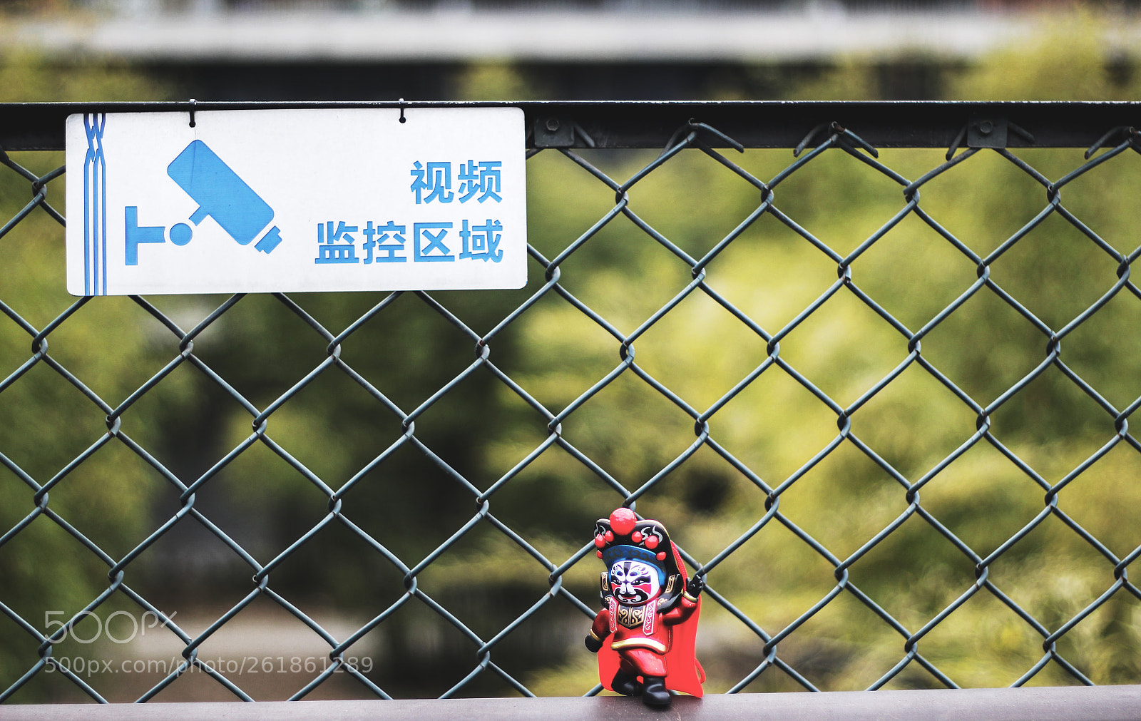 Canon EOS 60D sample photo. Back to beisen yard photography