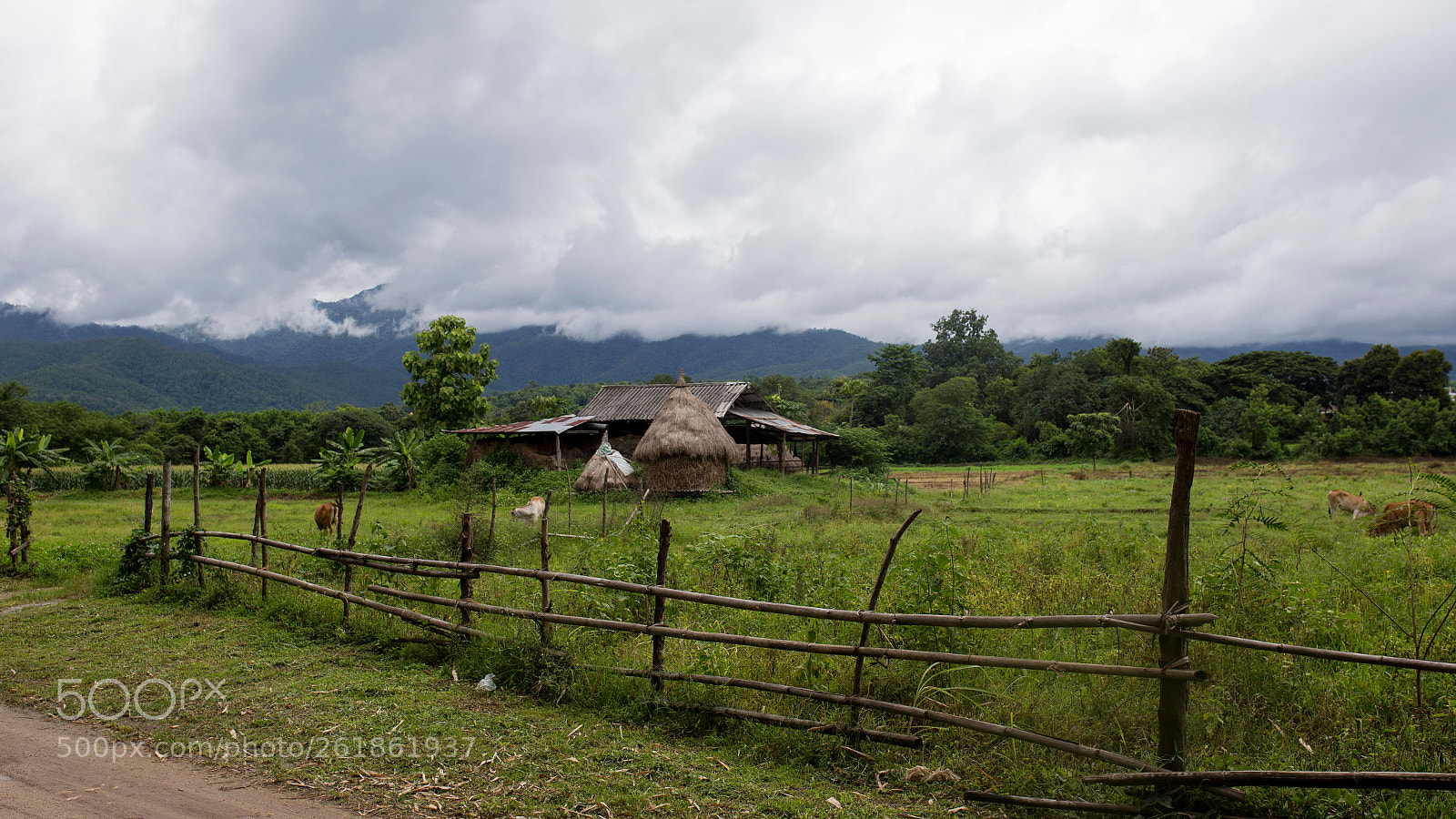 Canon EOS 6D sample photo. N°0006.05.18 photography