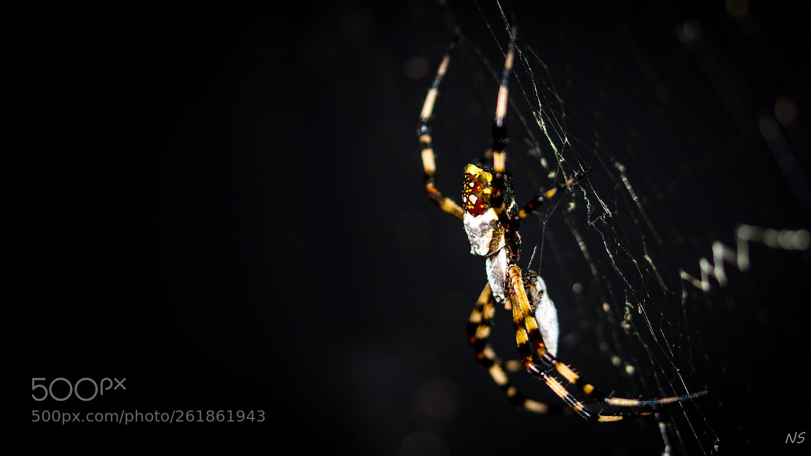 Nikon D7200 sample photo. Untitled photography