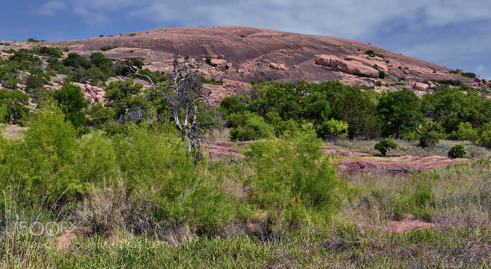 Nikon D800E sample photo. Enchanted rock photography