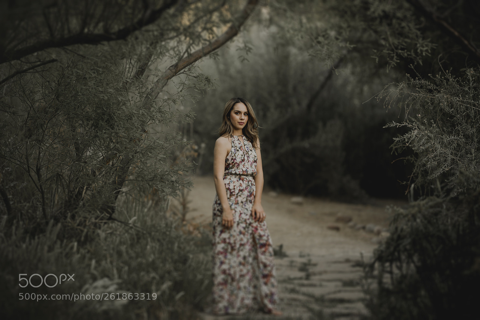 Nikon D750 sample photo. Verde photography