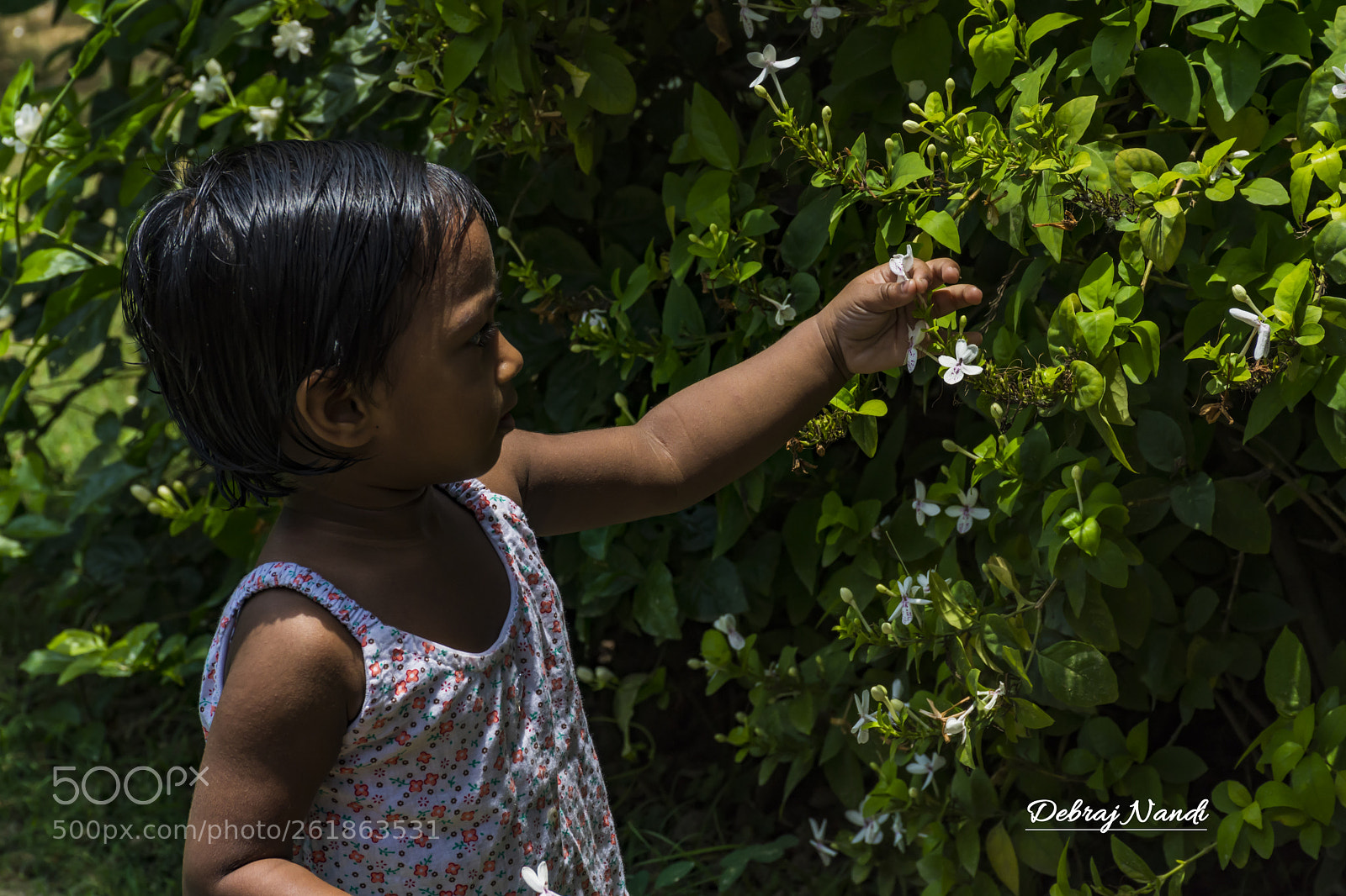 Nikon D7200 sample photo. Plucking.. photography