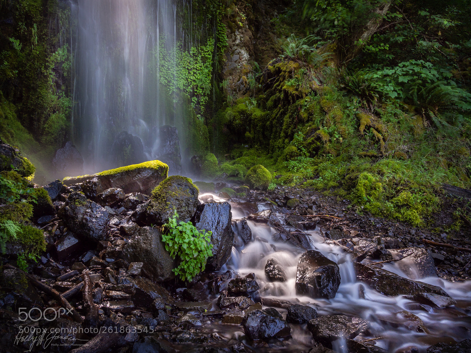 Olympus OM-D E-M5 sample photo. Wonder falls photography