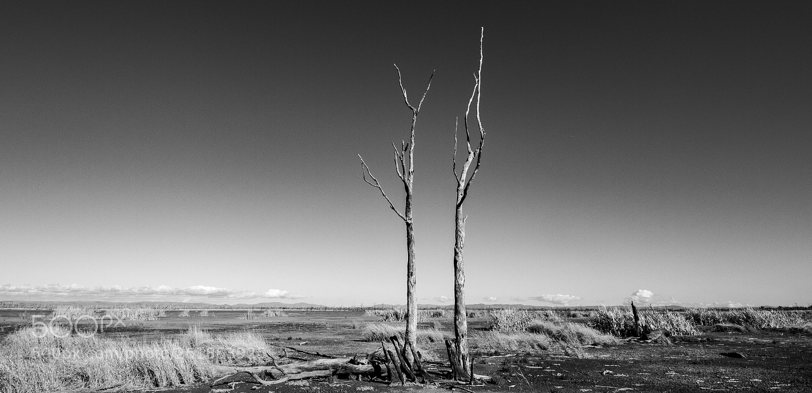 Canon EOS 7D sample photo. Winton wetlands, victoria photography