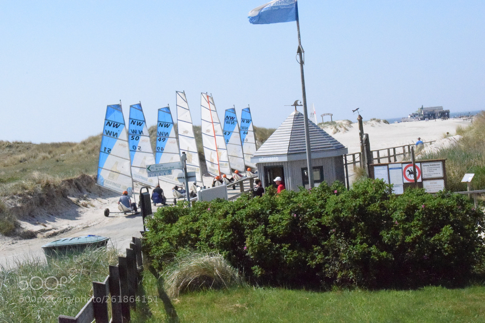 Nikon D3300 sample photo. Fleet of beach sailors photography