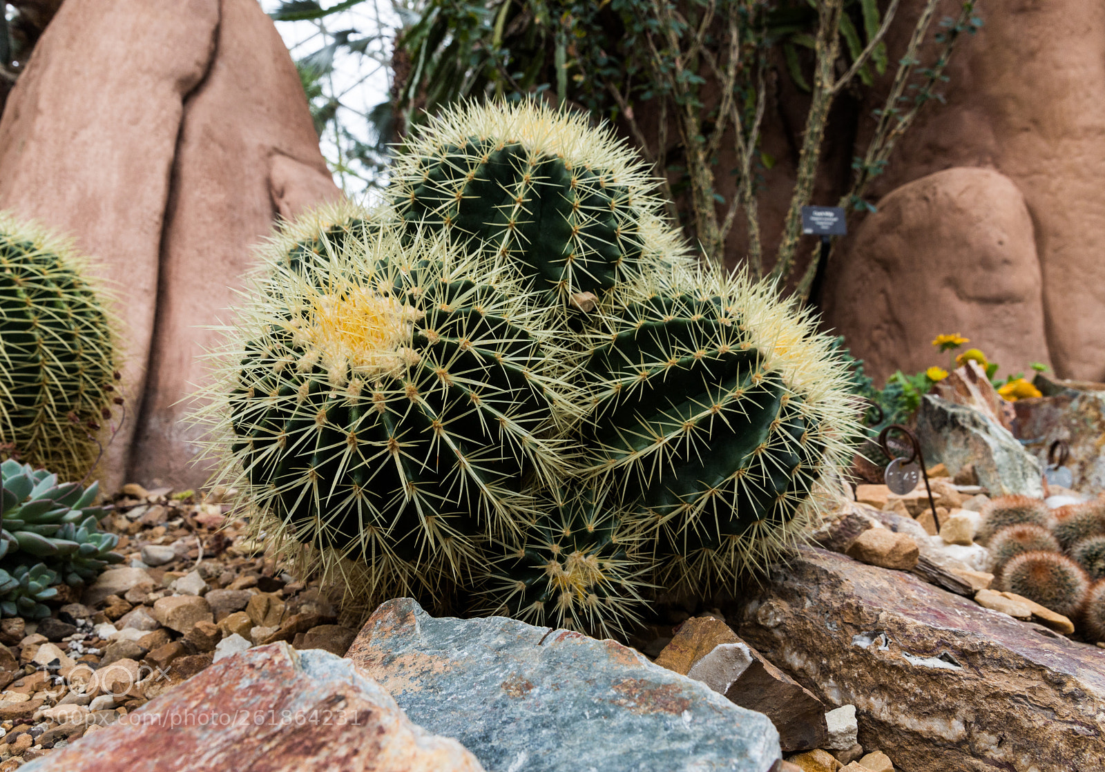 Canon EOS 6D Mark II sample photo. Img photography