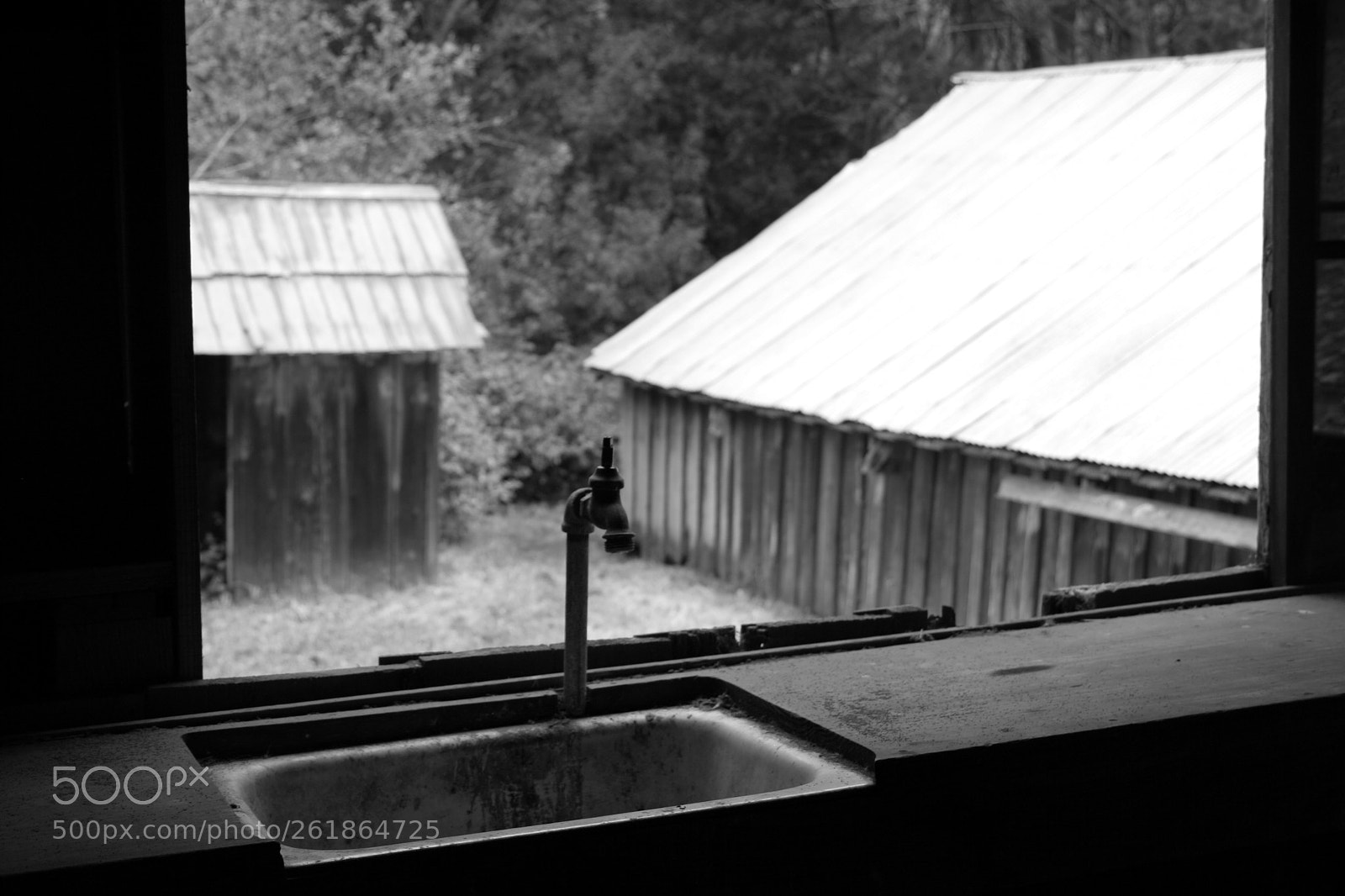 Canon EOS 350D (EOS Digital Rebel XT / EOS Kiss Digital N) sample photo. Wilder ranch photography