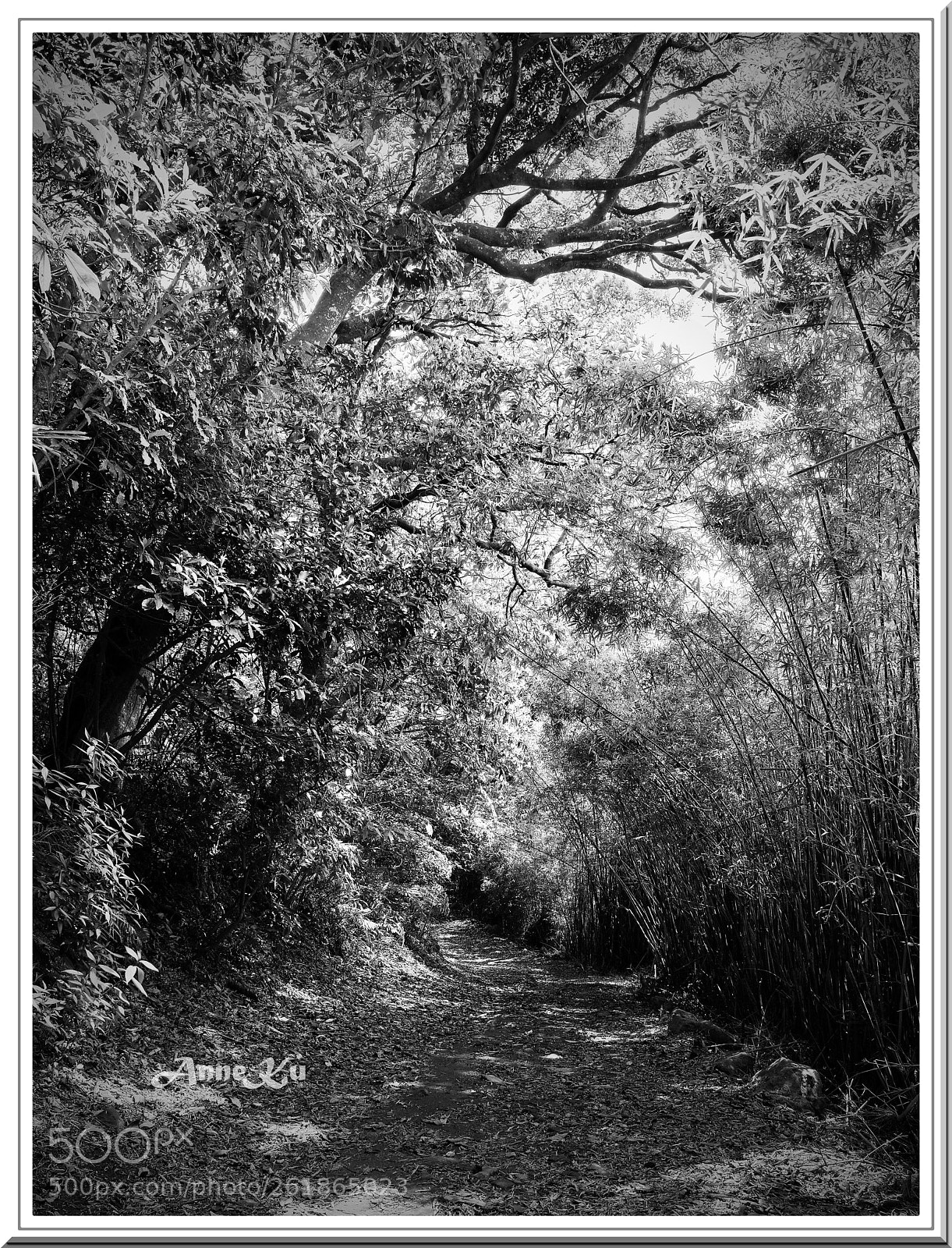 Nikon D800E sample photo. Untitled photography