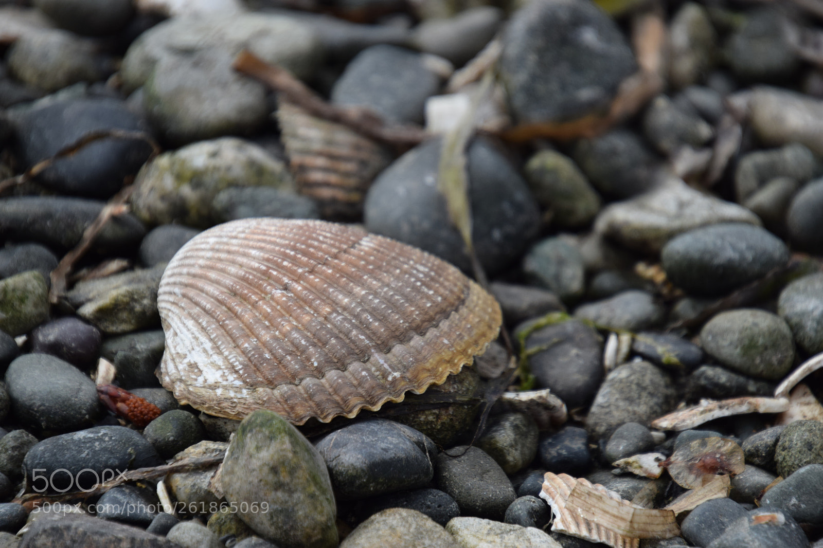 Nikon D5300 sample photo. Untitled photography
