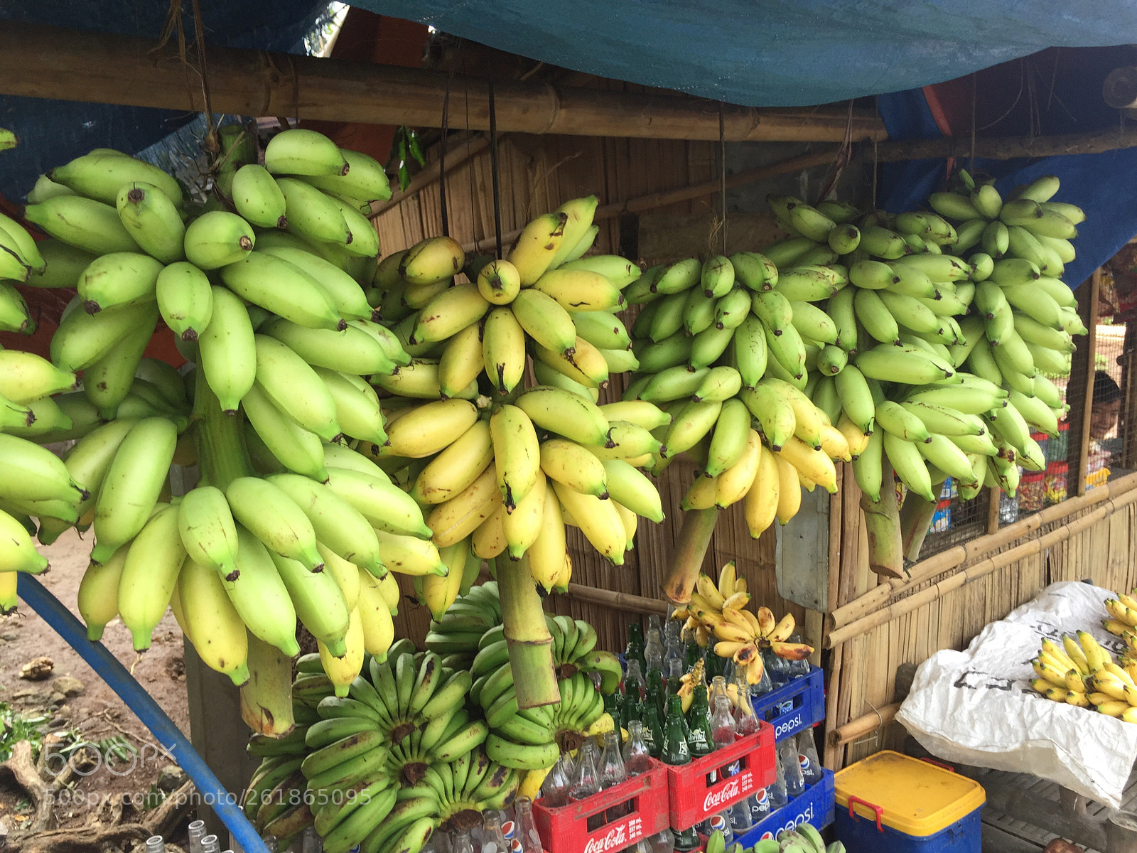 Apple iPhone 6 sample photo. Banana photography