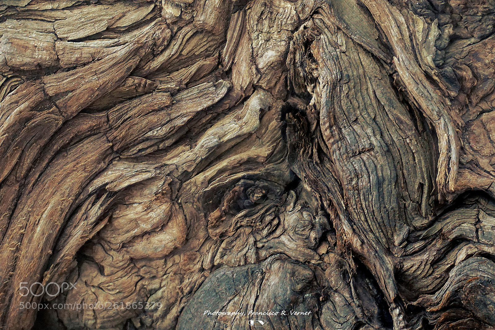 Sony a6000 sample photo. Wood... ing photography